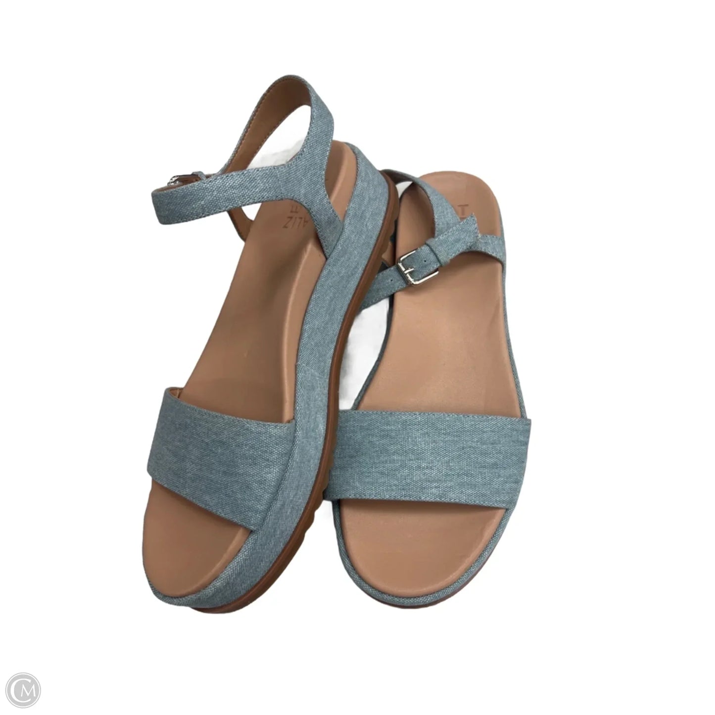 Sandals Heels Platform By Naturalizer In Blue & Brown, Size: 9