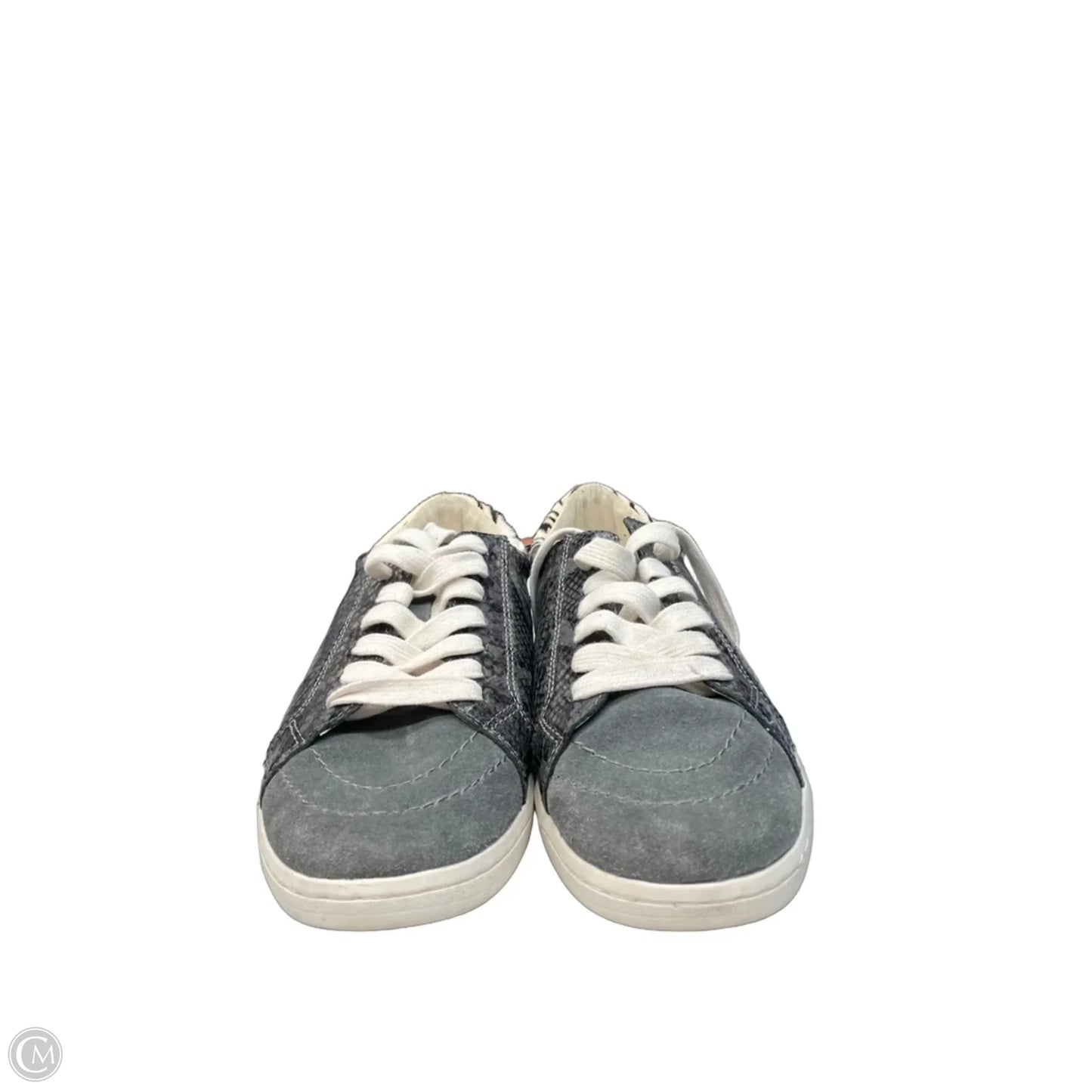Shoes Sneakers By Dolce Vita In Snakeskin Print, Size: 9.5