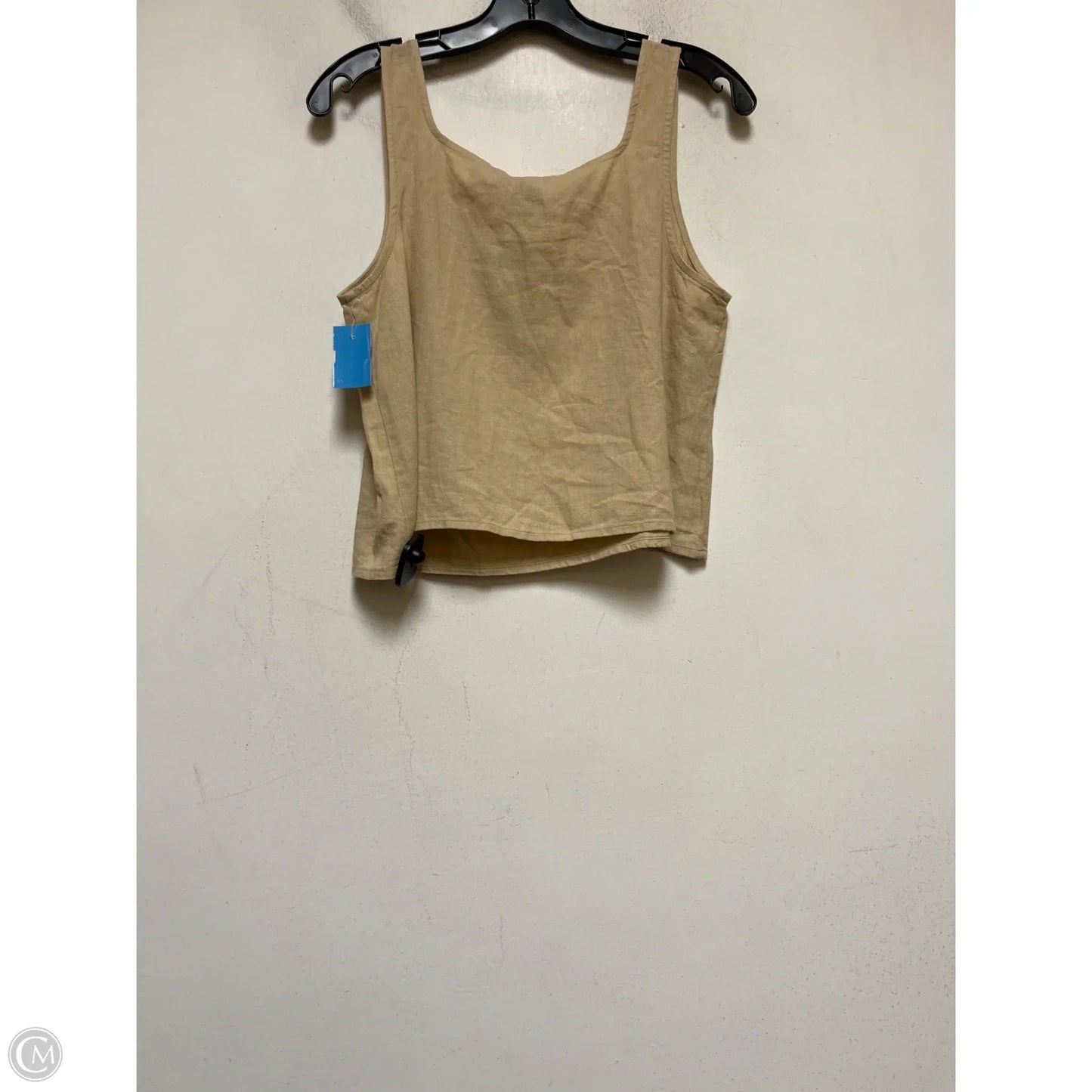 Top Sleeveless By Express In Tan, Size: S