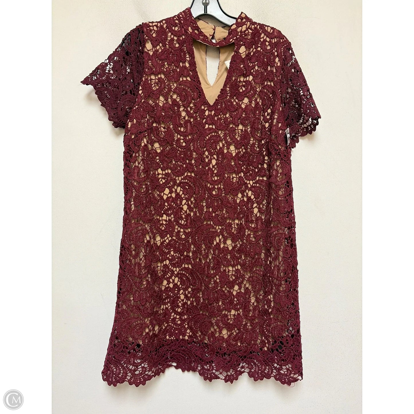 Dress Casual Short By Blu Pepper In Maroon, Size: L
