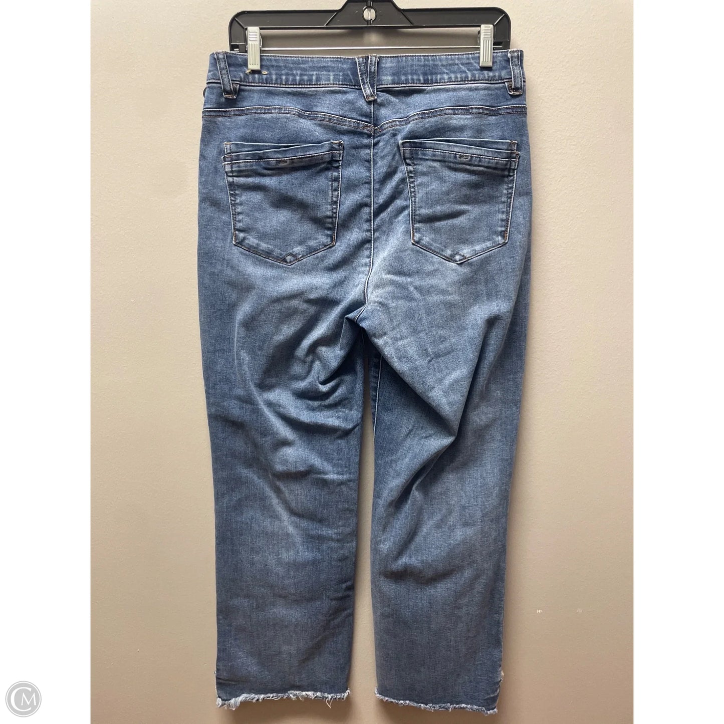 Jeans Wide Leg By Democracy In Blue Denim, Size: 10