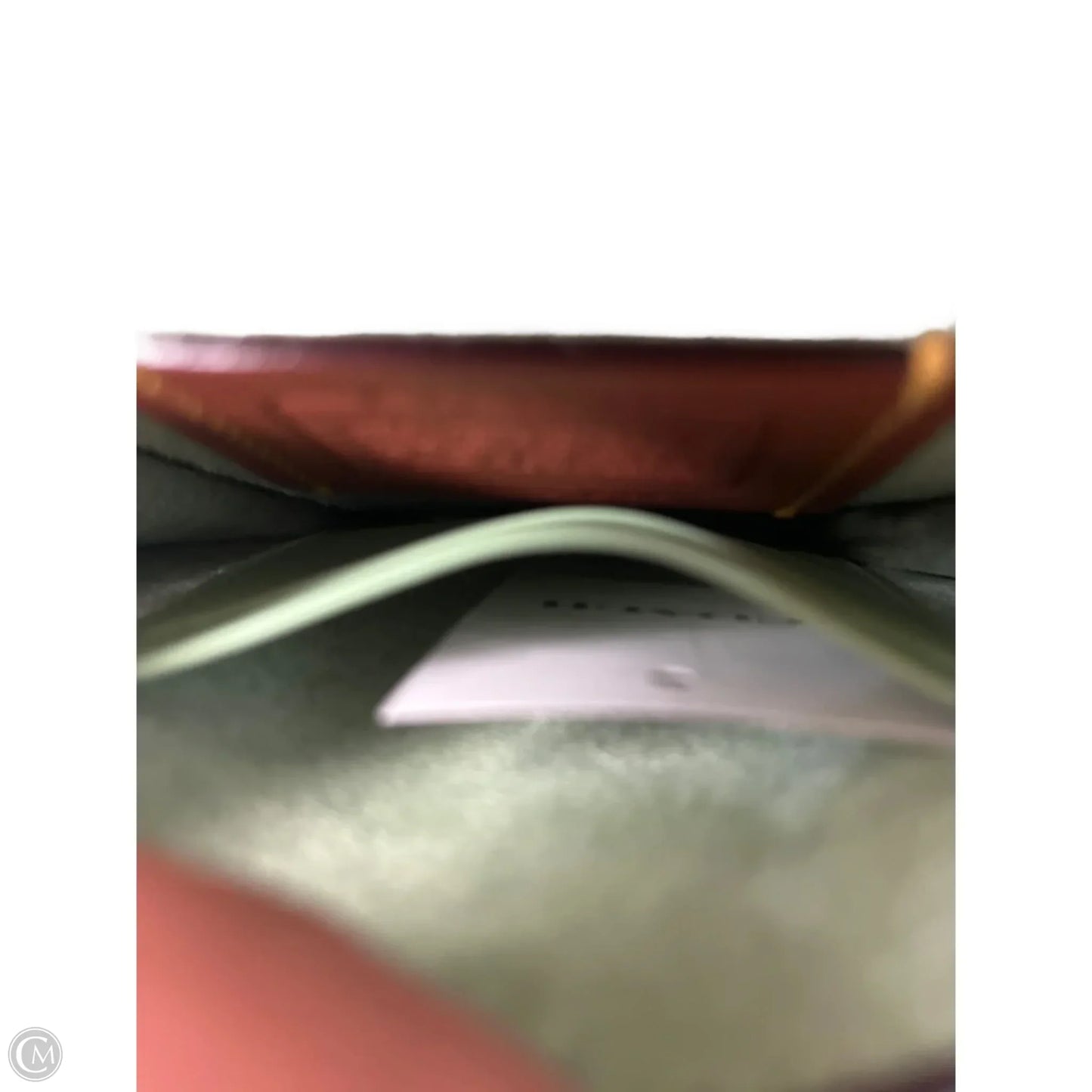 Crossbody Designer By Coach, Size: Small