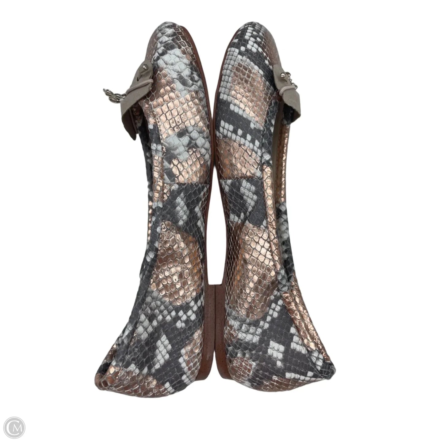 Shoes Flats By Sam Edelman In Snakeskin Print, Size: 7