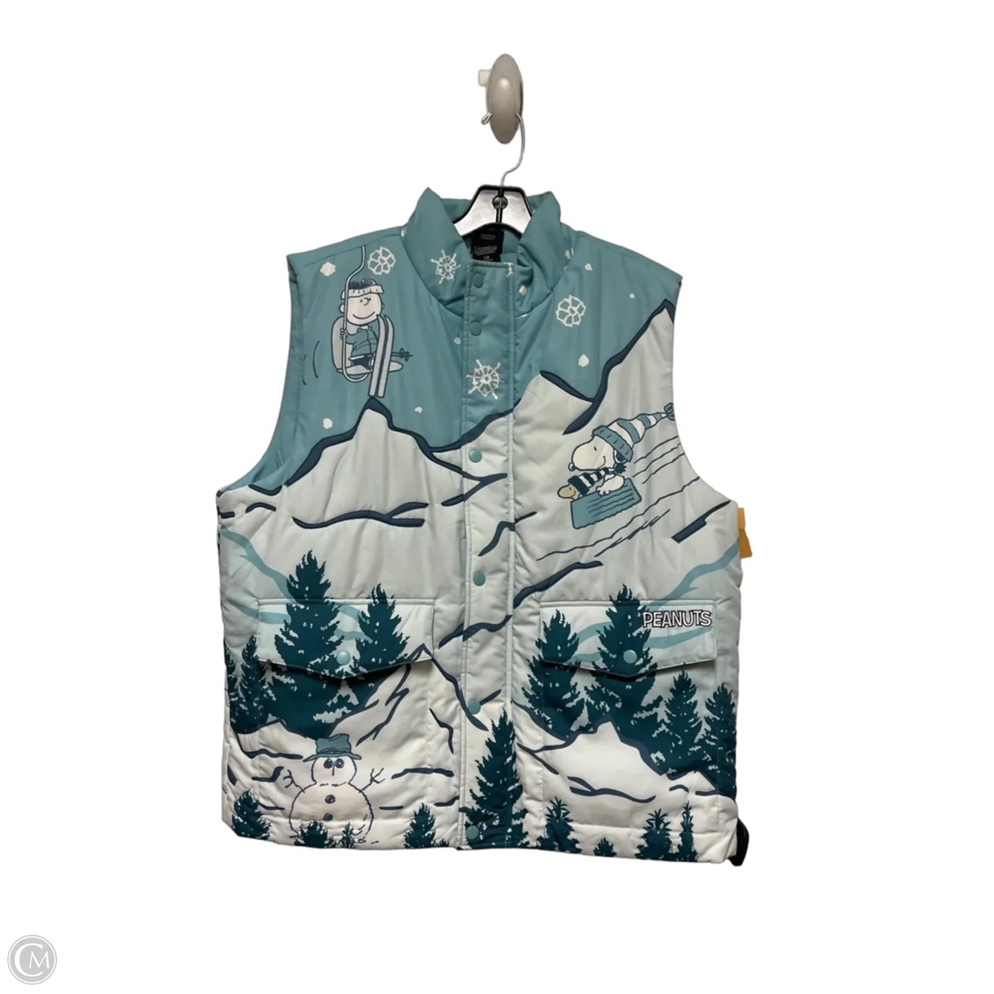 Vest Puffer & Quilted By Clothes Mentor In Aqua, Size: L