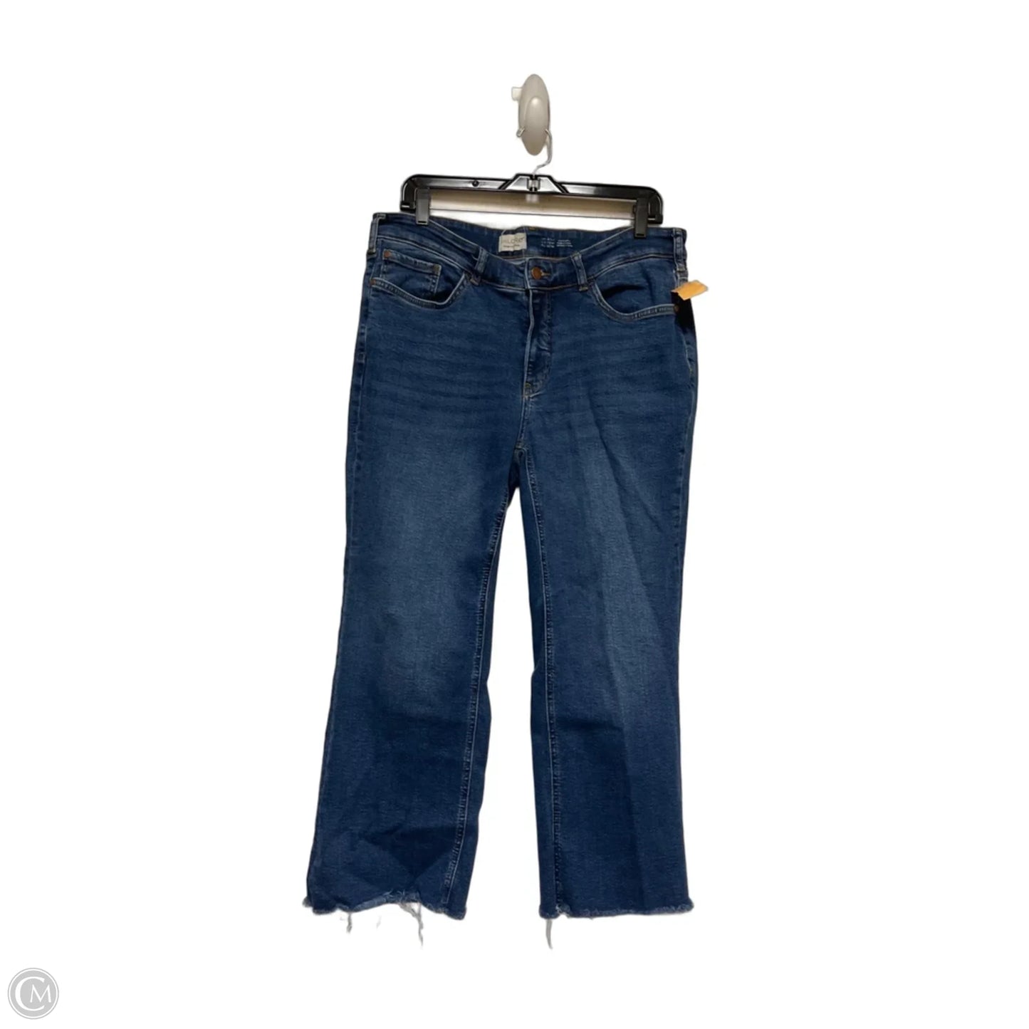 Jeans Wide Leg By Pilcro In Blue Denim, Size: 16