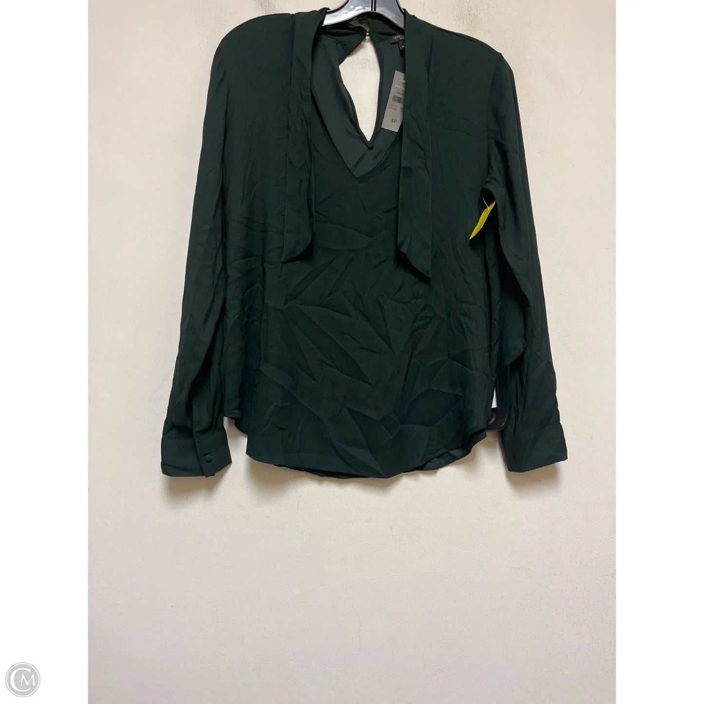 Top Long Sleeve By Ann Taylor In Green, Size: Sp