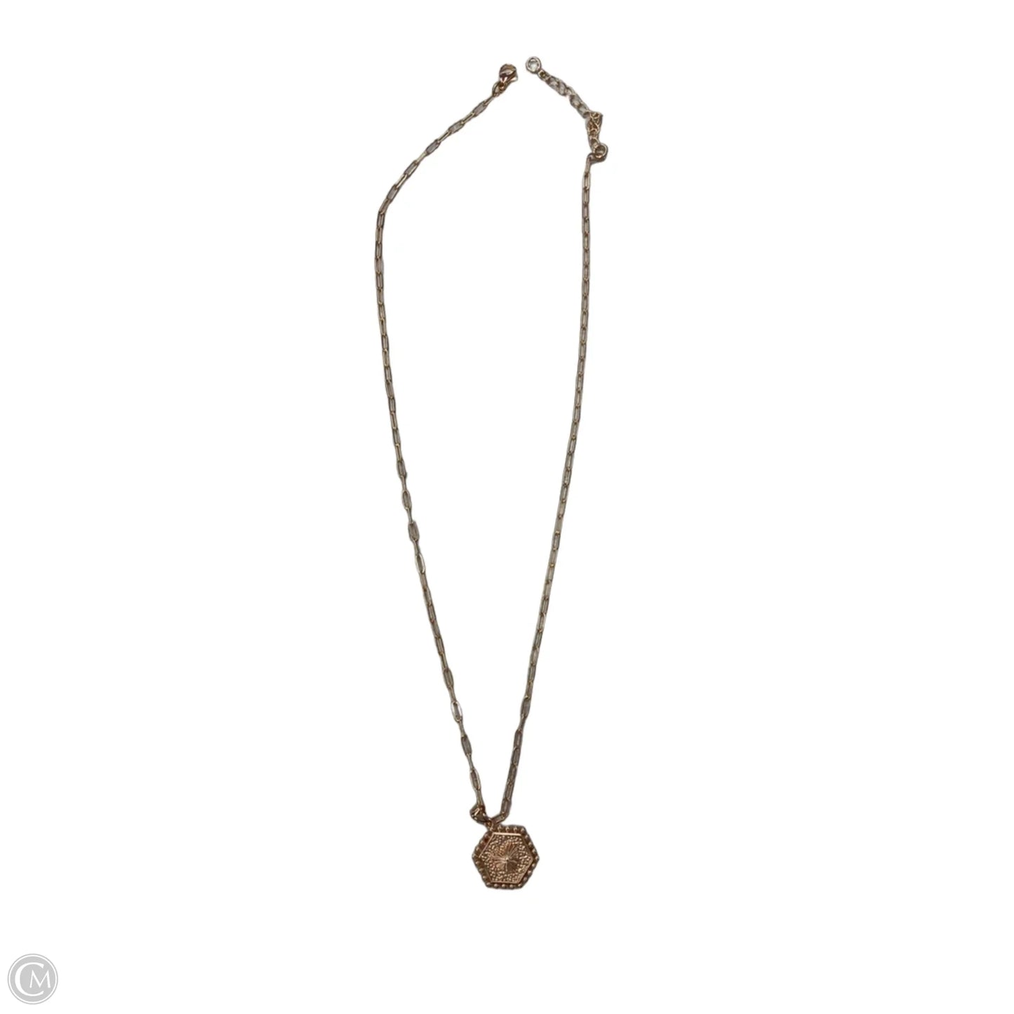 Necklace Chain By Clothes Mentor