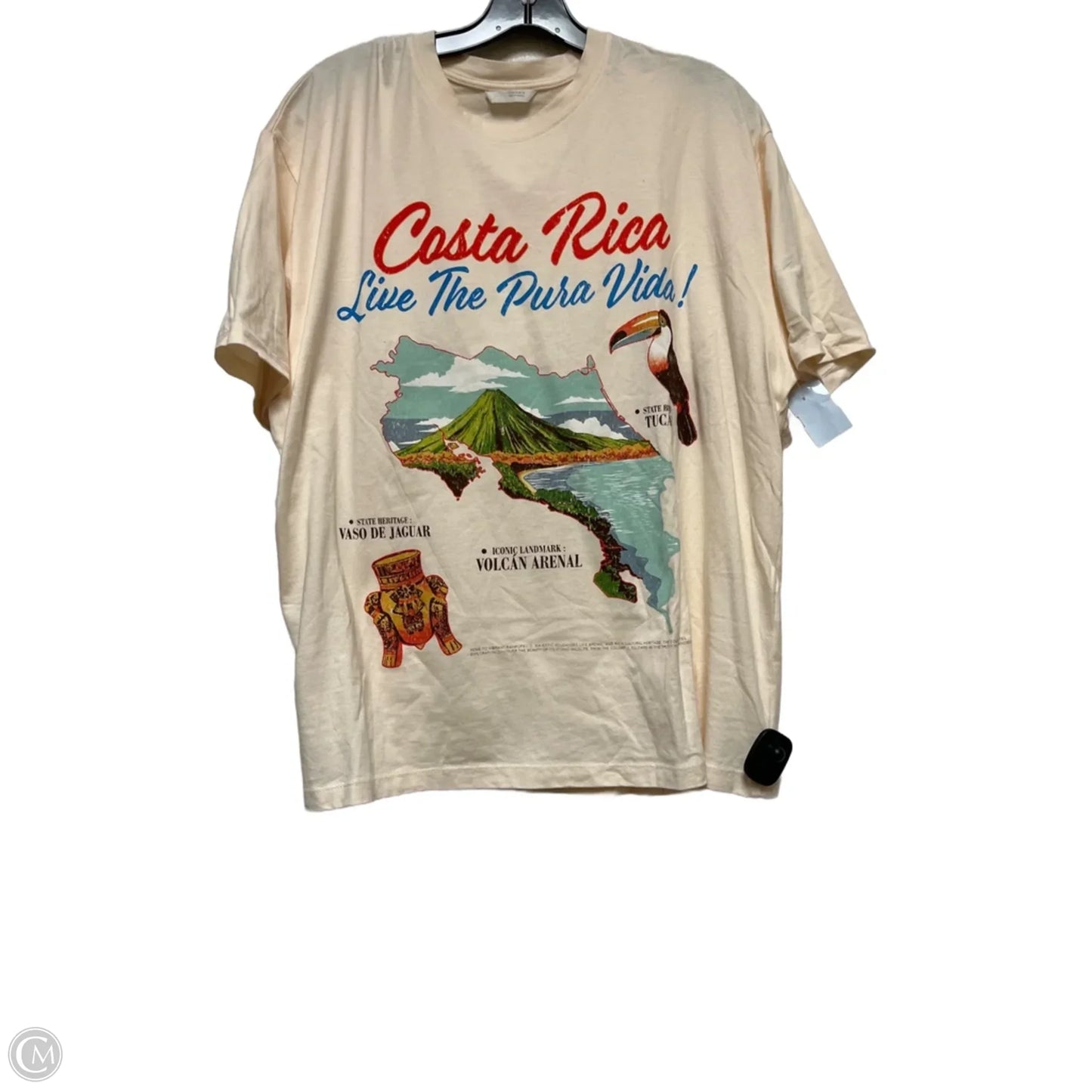 Top Short Sleeve Basic By Zara In Cream, Size: Xl