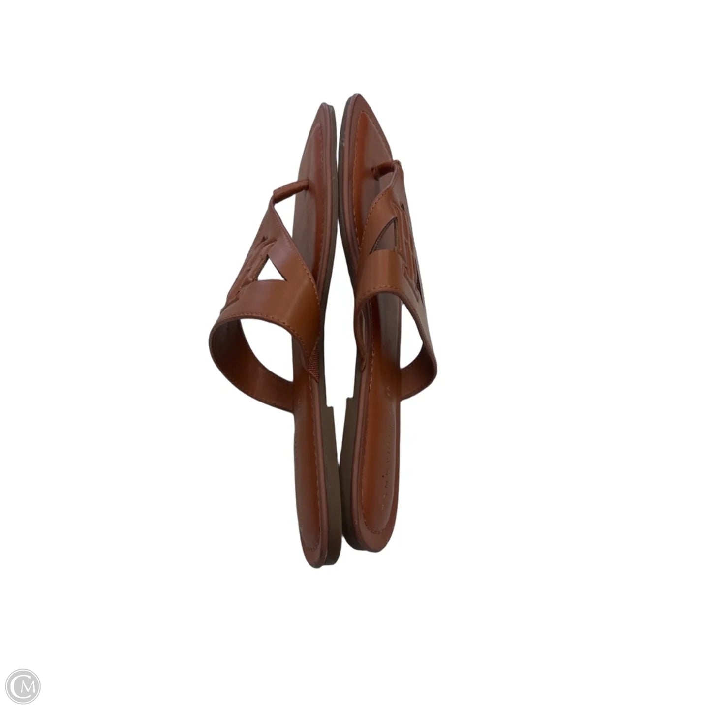 Sandals Flats By Tommy Hilfiger In Bronze, Size: 9