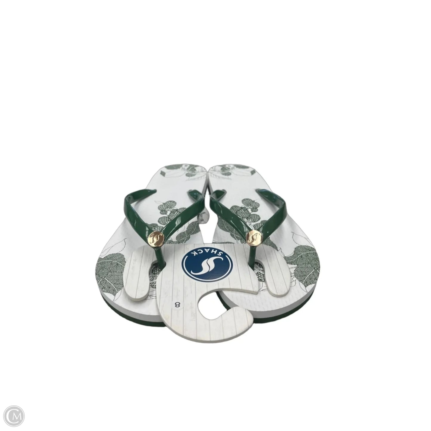 Sandals Flip Flops By Clothes Mentor In Green & White, Size: 8