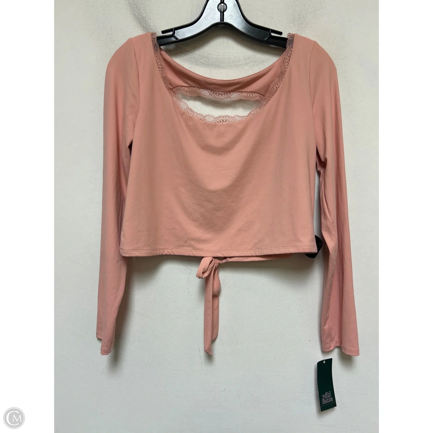 Top Long Sleeve By Wild Fable In Pink, Size: L