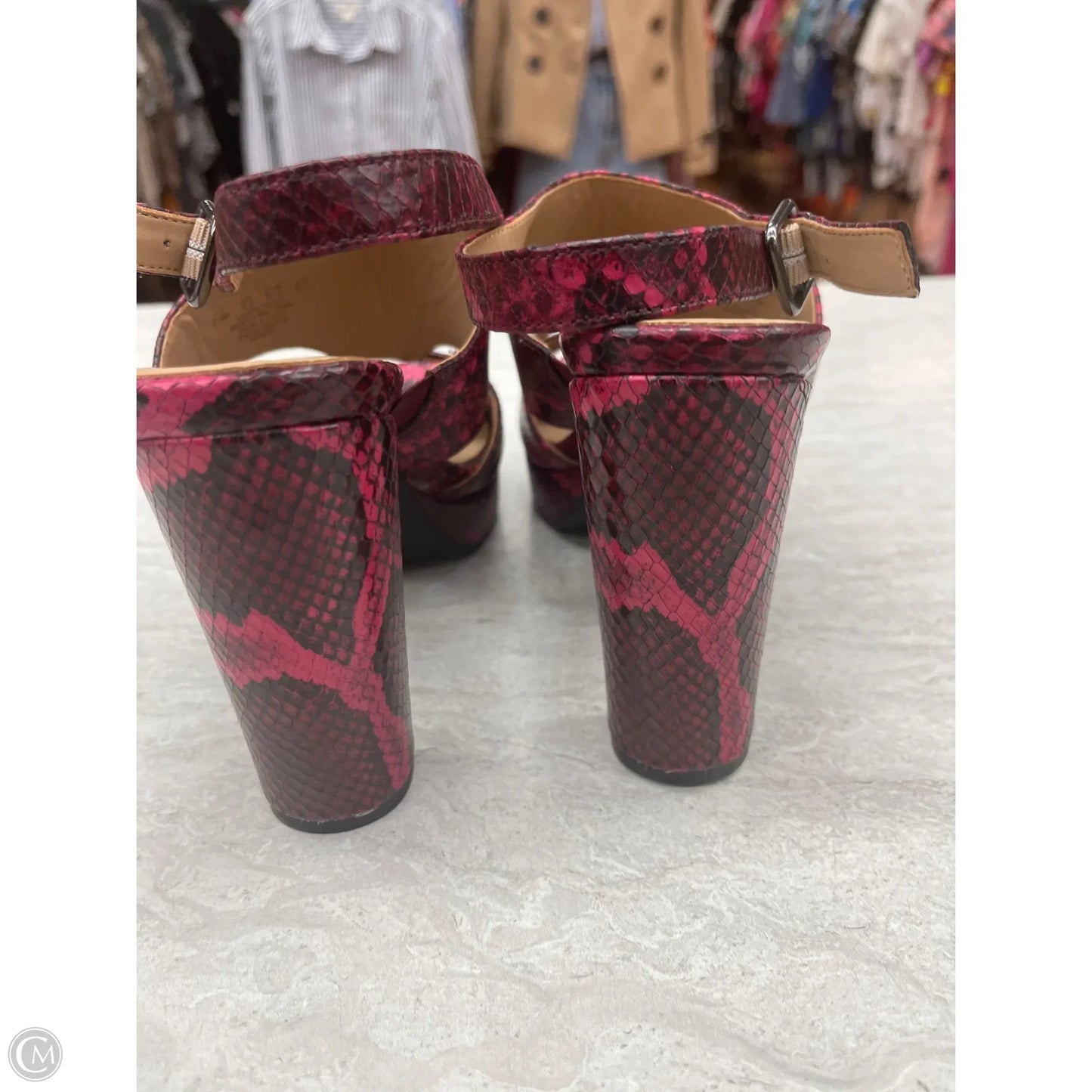 Shoes Heels Stiletto By Naturalizer In Snakeskin Print, Size: 7.5