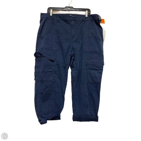 Pants Cargo & Utility By Time And Tru In Navy, Size: 18