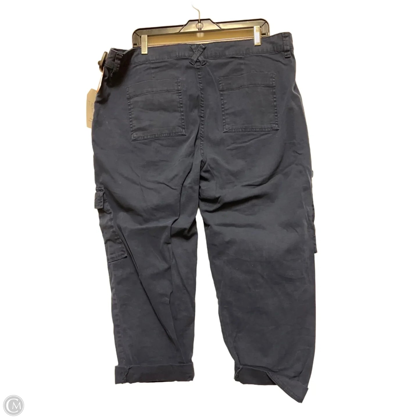 Pants Cargo & Utility By Time And Tru In Navy, Size: 18