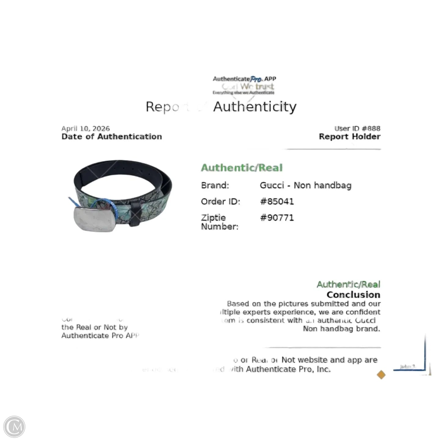 Belt Luxury Designer By Gucci