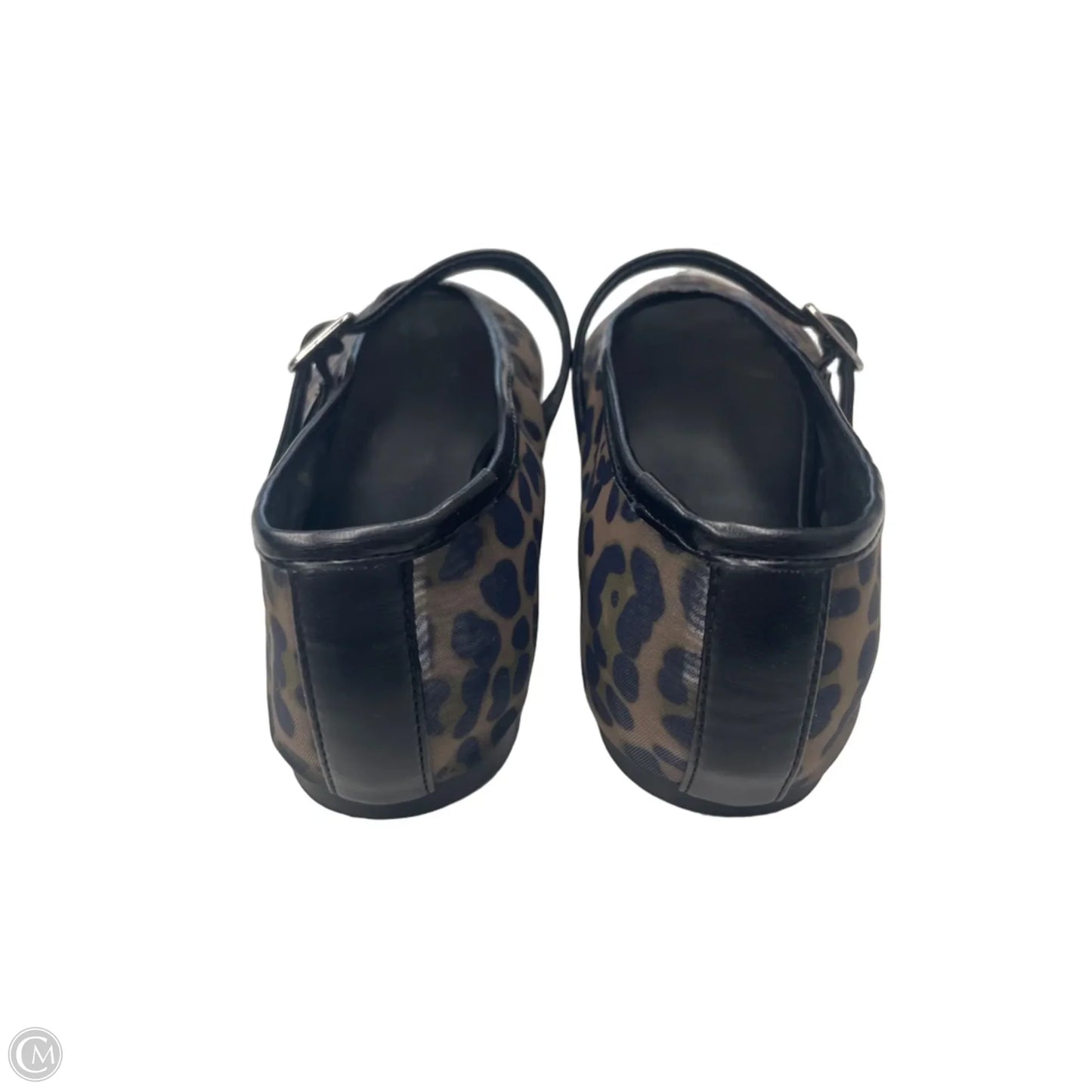Shoes Flats By Steve Madden In Animal Print, Size: 10