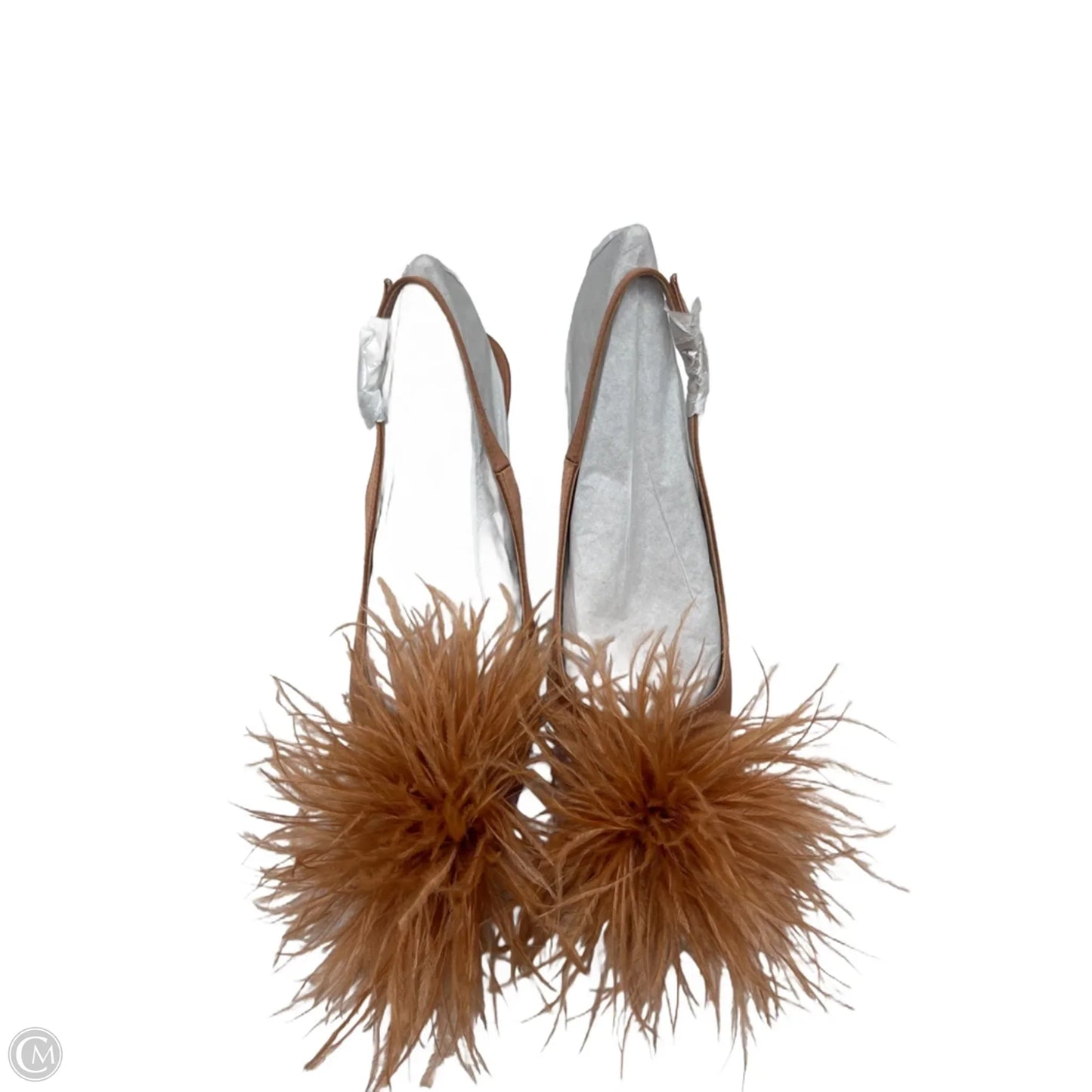 Shoes Heels Kitten By Sam Edelman In Brown, Size: 6.5