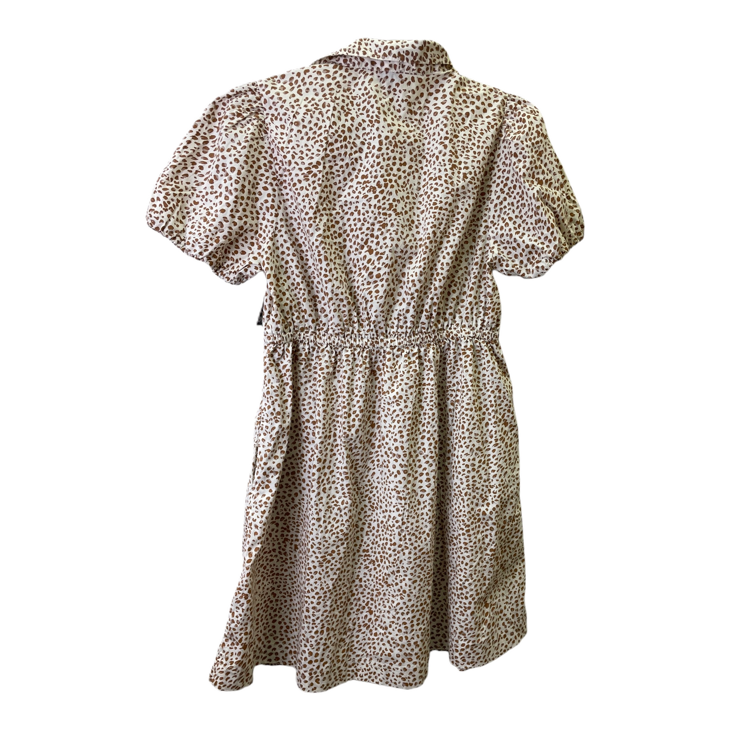 Brown & Cream Dress Casual Short By J. Crew, Size: M