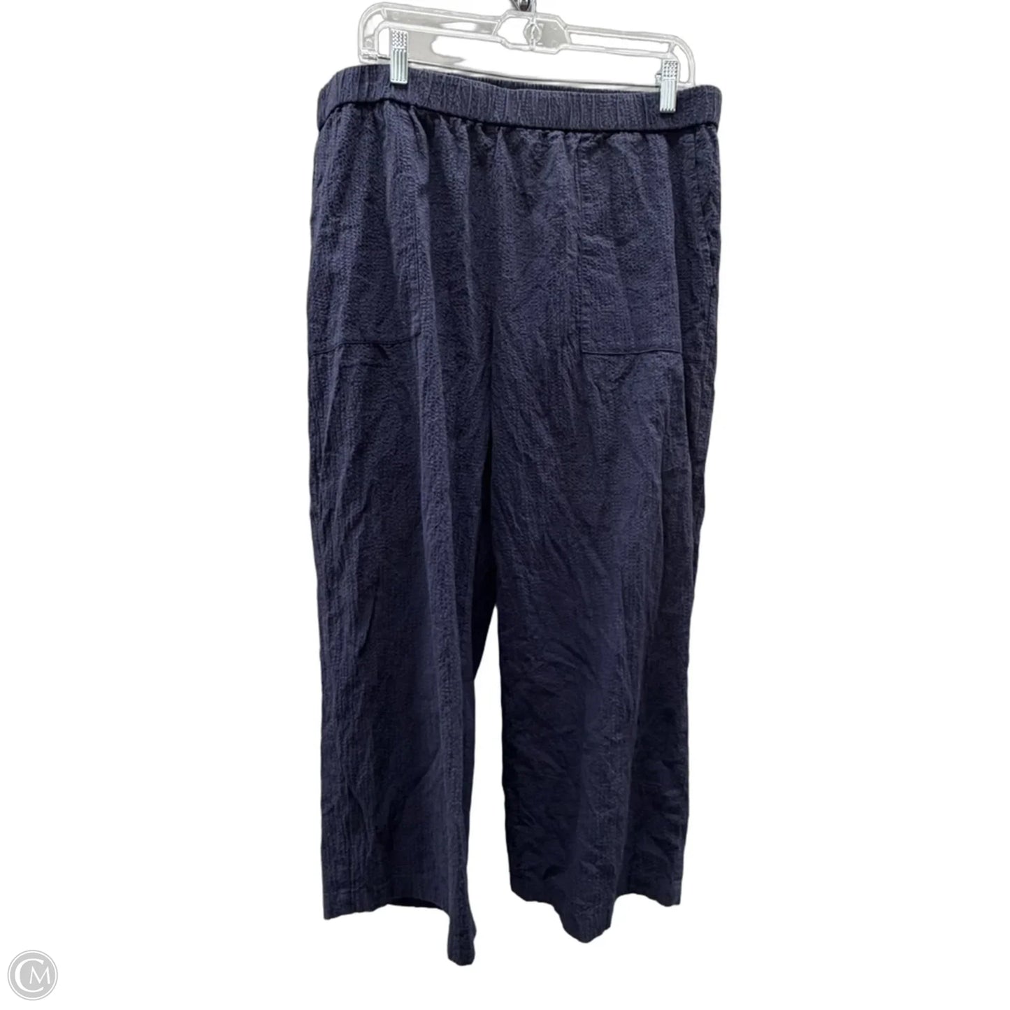 Capris By Eileen Fisher In Blue, Size: 16