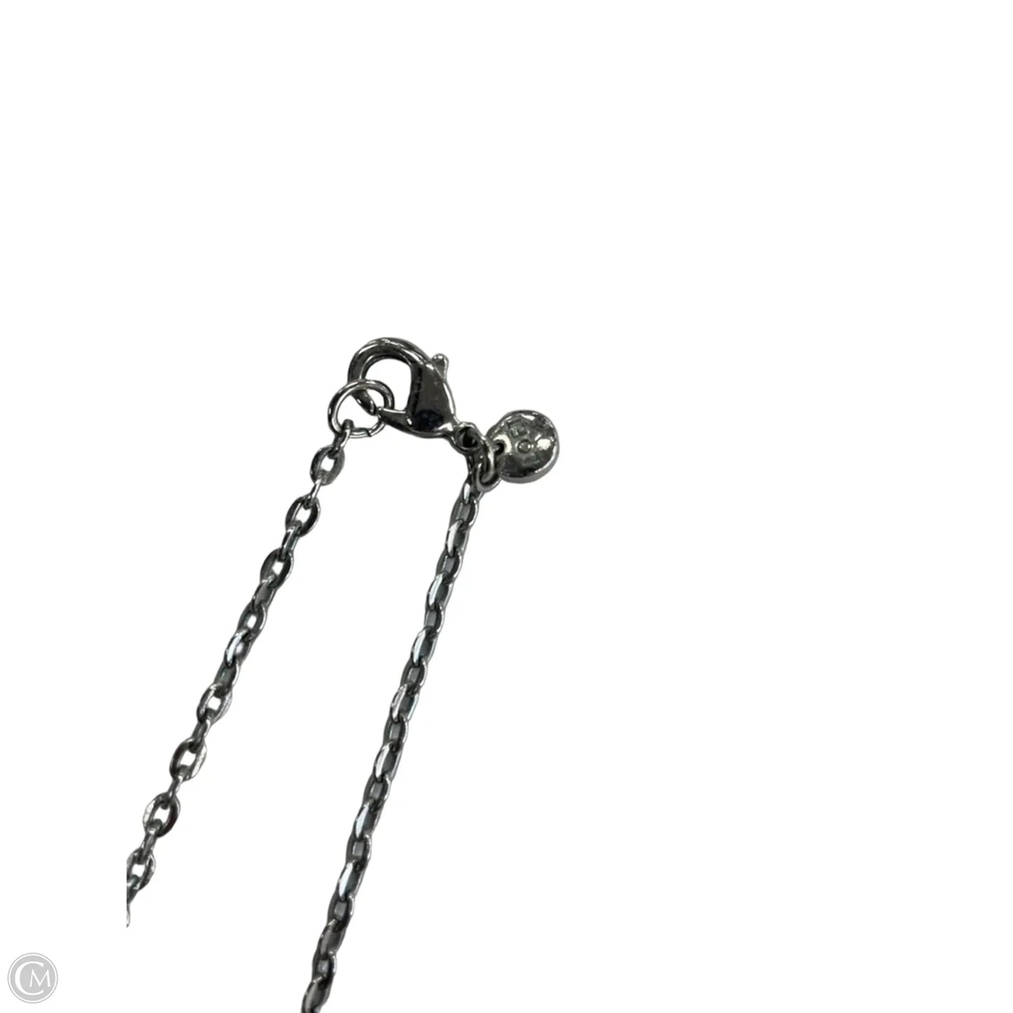 Necklace Chain By Loft