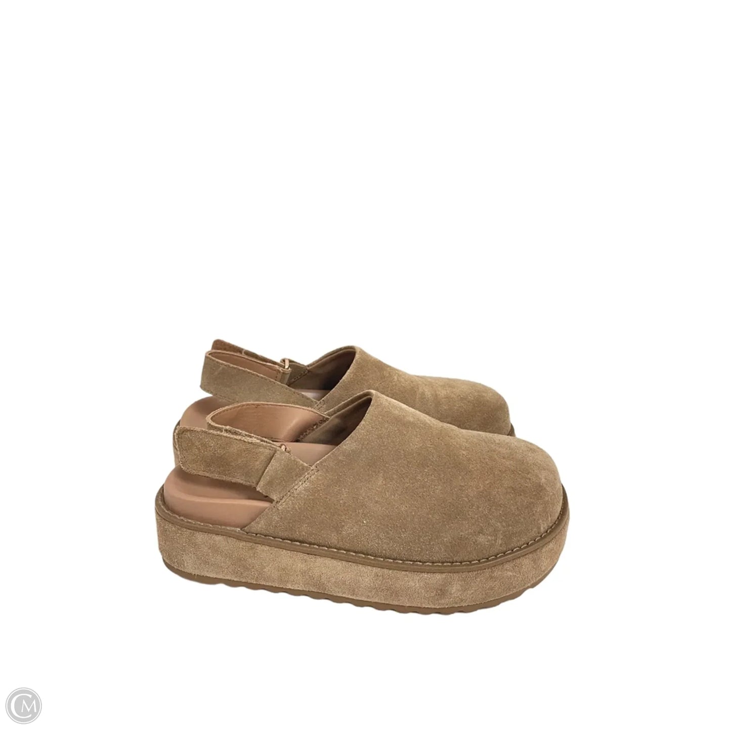 Shoes Flats By Steve Madden In Tan, Size: 7