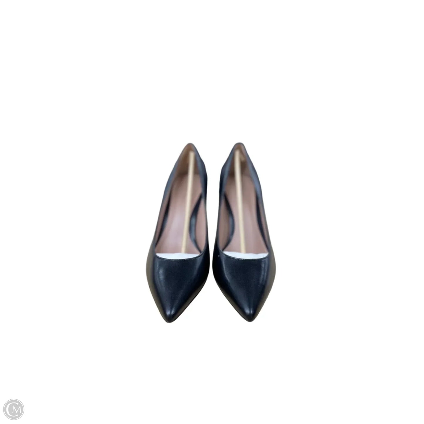 Shoes Heels Kitten By Cole-haan In Black, Size: 11