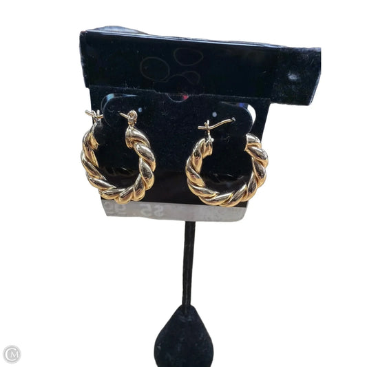 Earrings Hoop