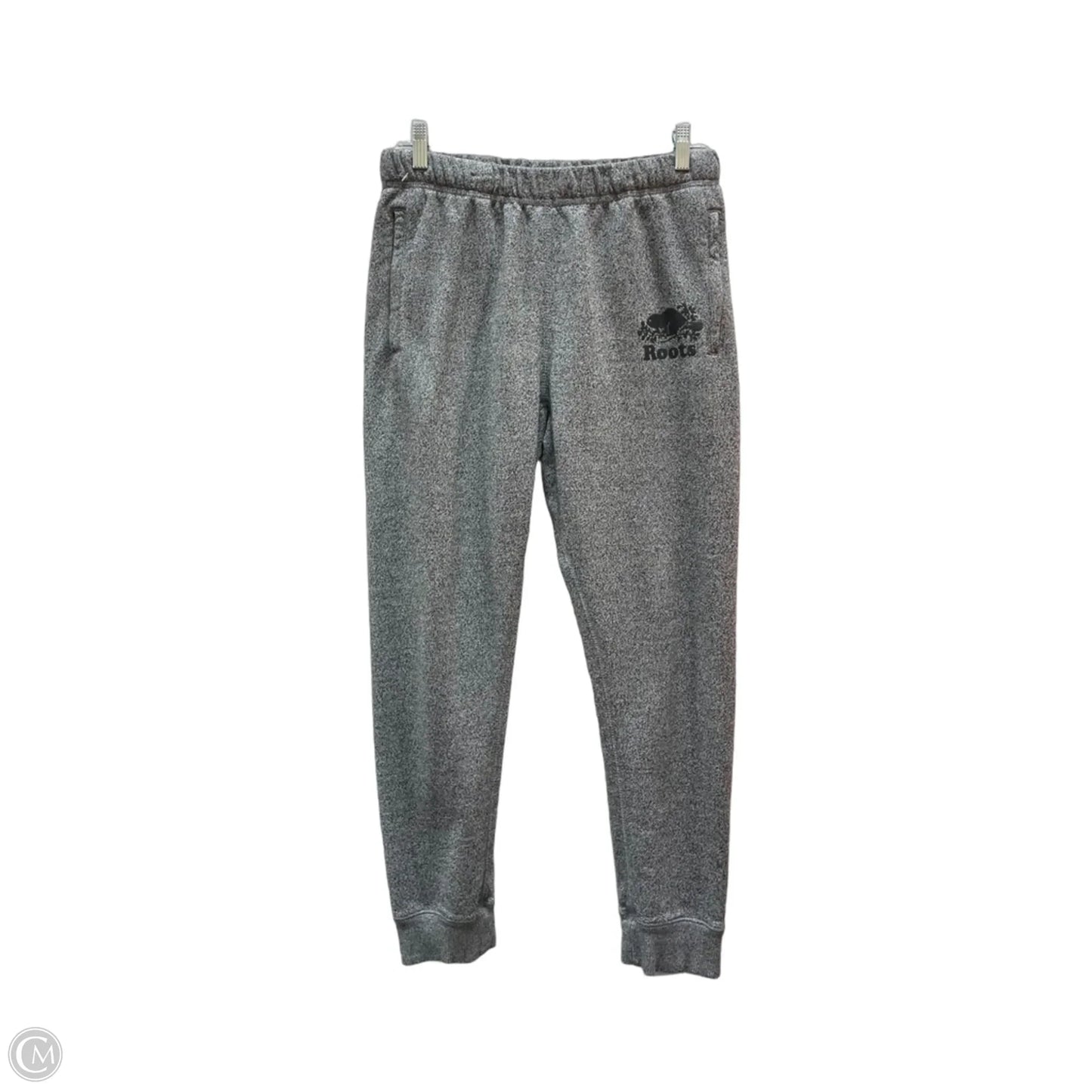 Pants Joggers By Roots In Grey, Size: Sp