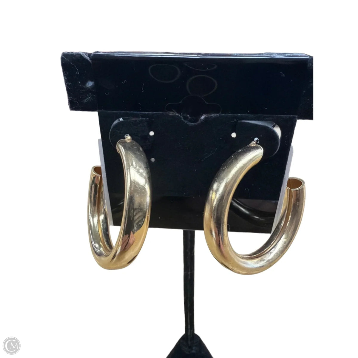 Earrings Hoop