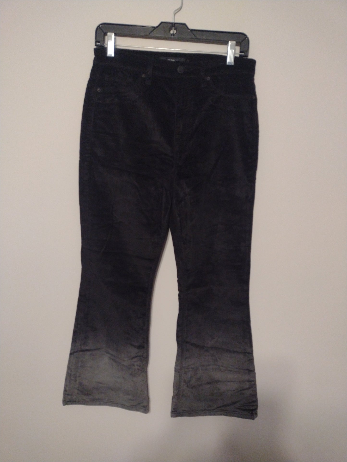 Pants Ankle By Hudson  Size: 8