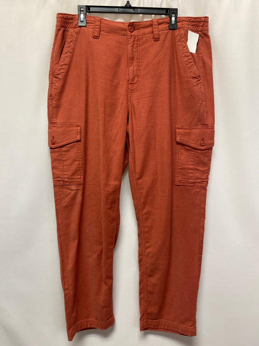 Coral Pants Chinos & Khakis American Eagle, Size 16