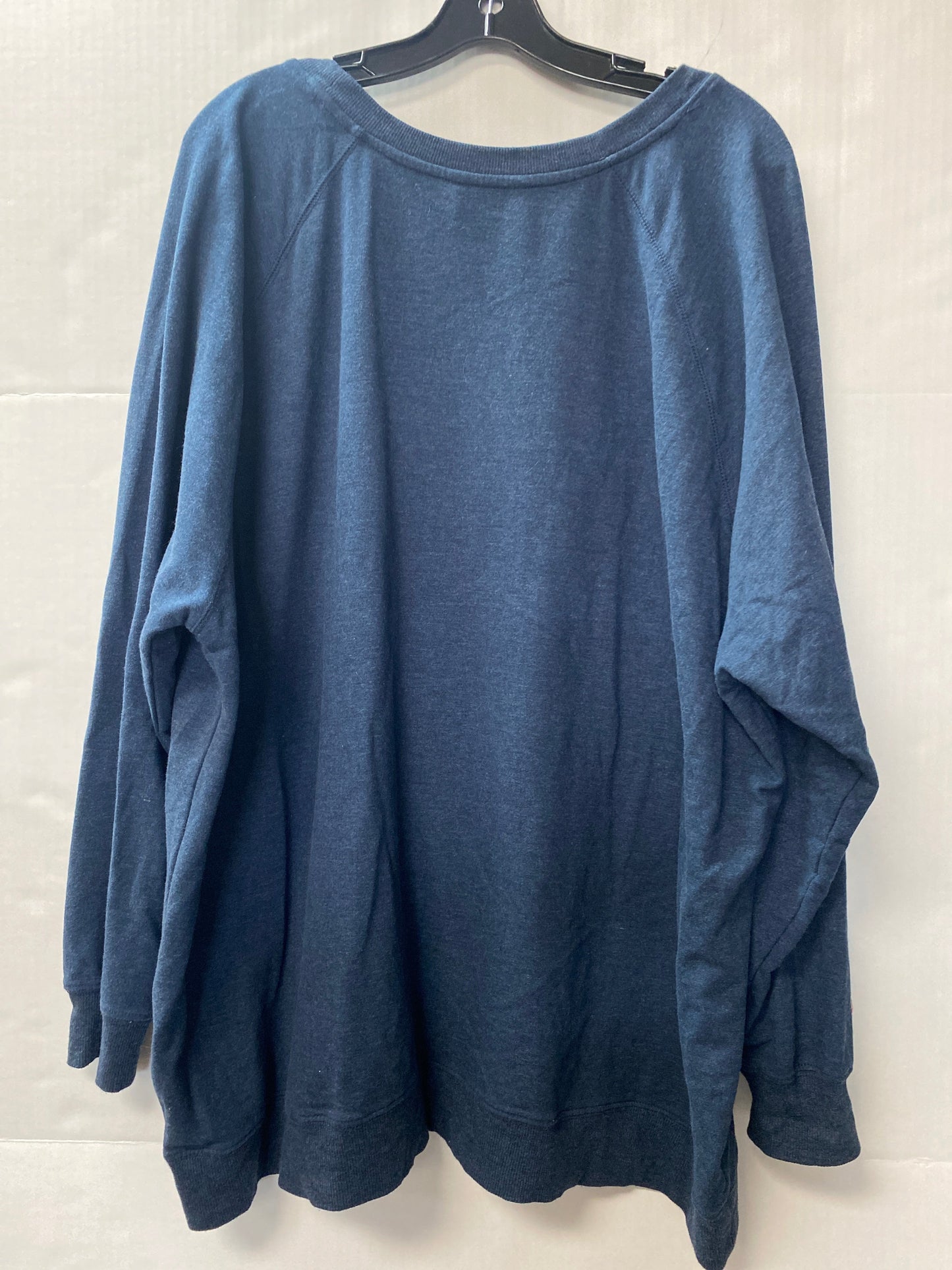 Sweatshirt Crewneck By Wildfox In Blue, Size: Xxl