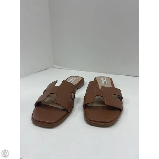 Sandals Flats By Steve Madden In Brown, Size: 8