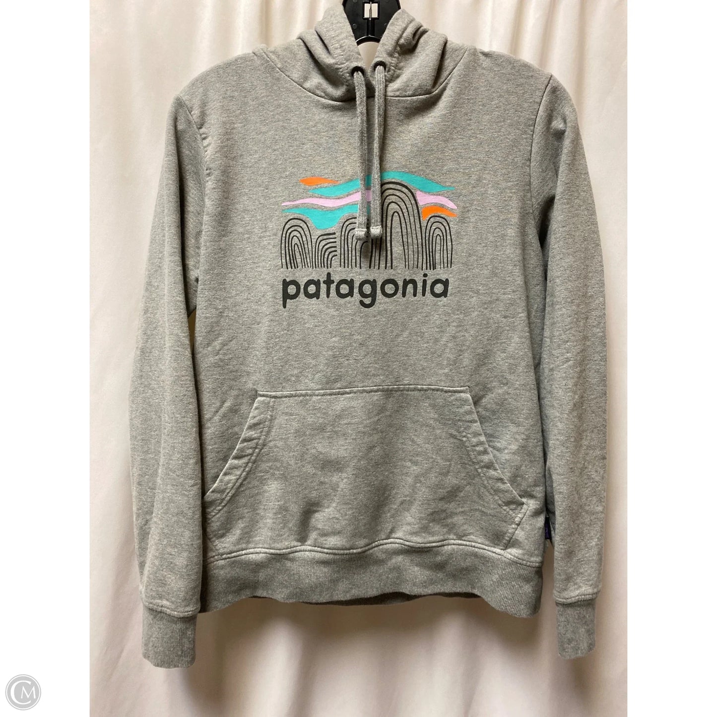 Sweatshirt Hoodie By Patagonia In Grey, Size: S