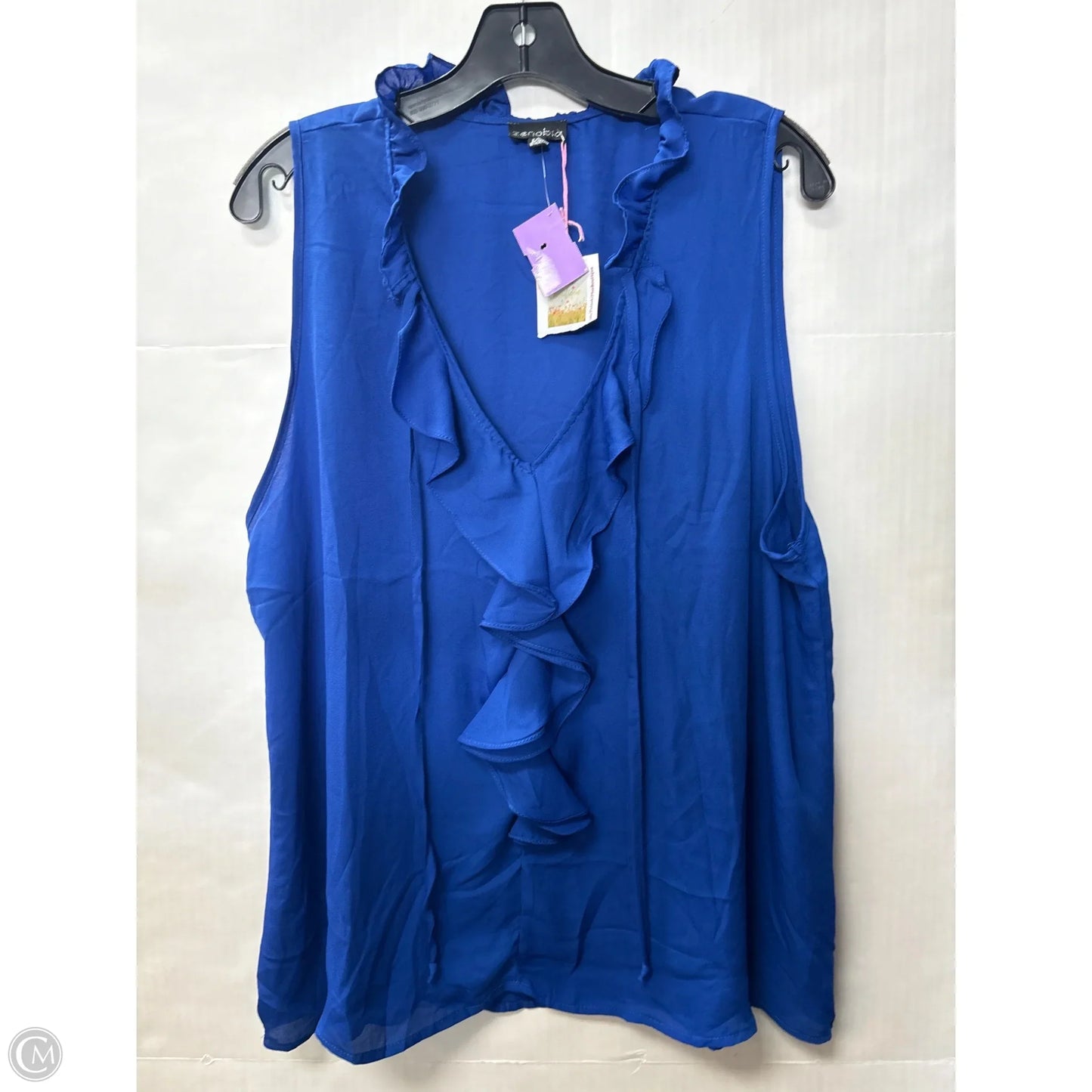 Top Sleeveless By Clothes Mentor In Blue, Size: 2x