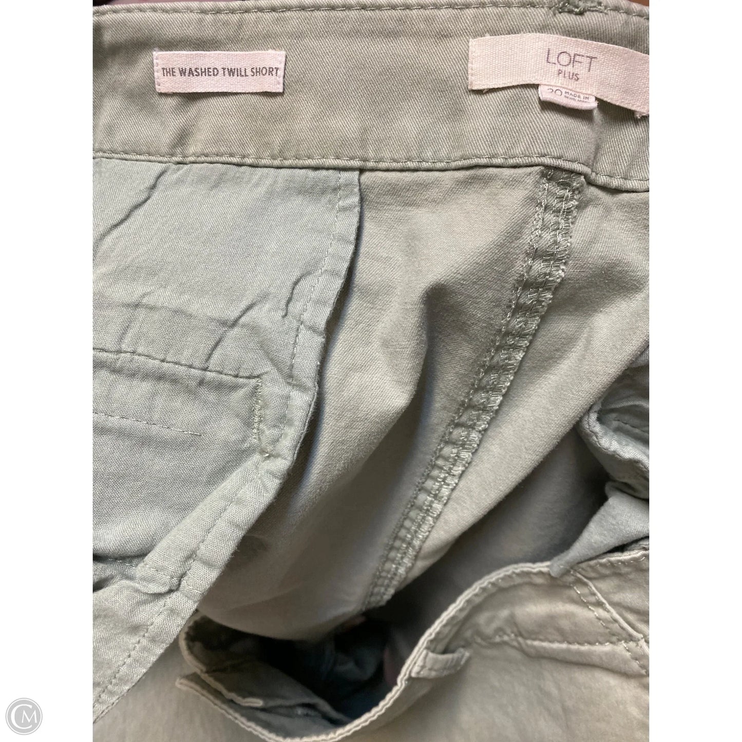 Shorts By Loft In Green, Size: 2x