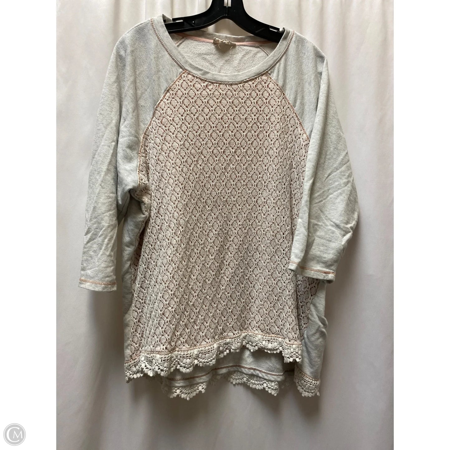 Top Long Sleeve By Dept 222 In Grey, Size: 3x