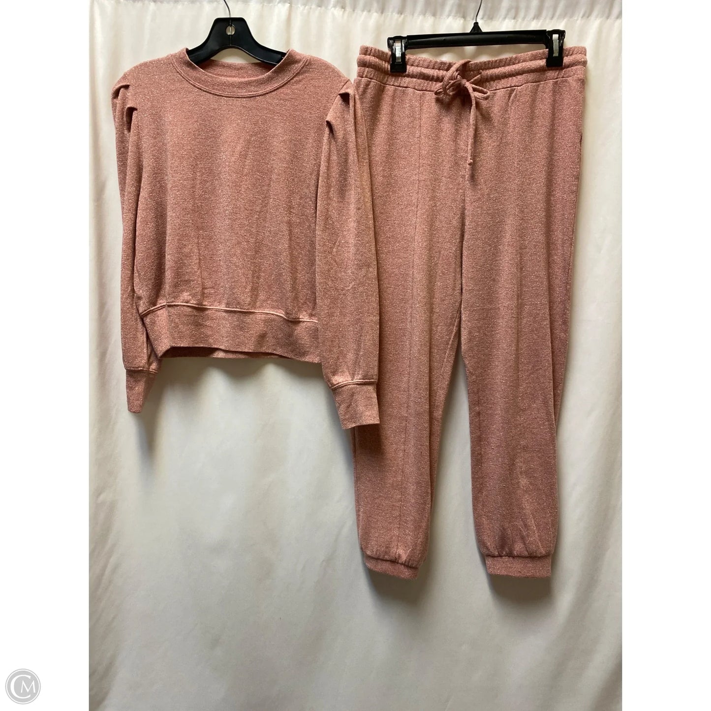 Pants Set 2pc By Clothes Mentor In Pink, Size: L