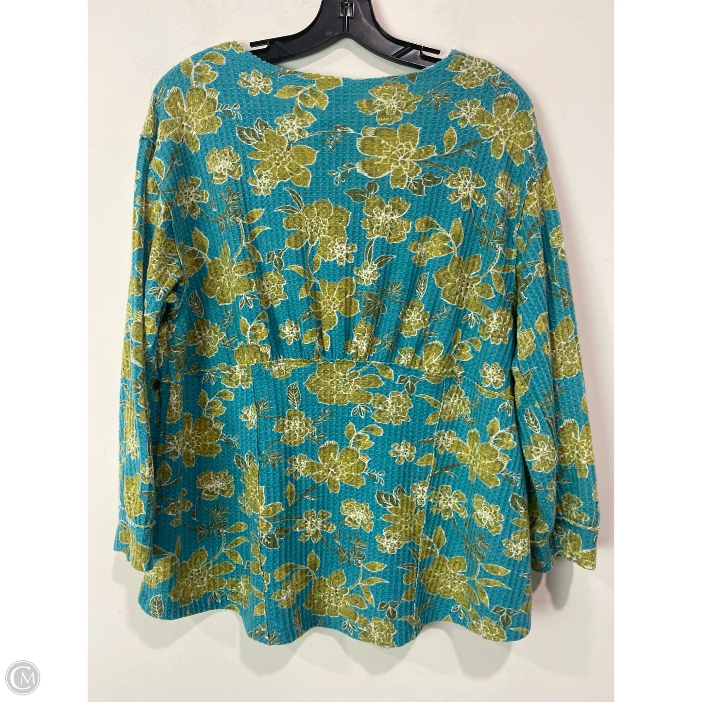Top Long Sleeve By Cato In Aqua, Size: Xl