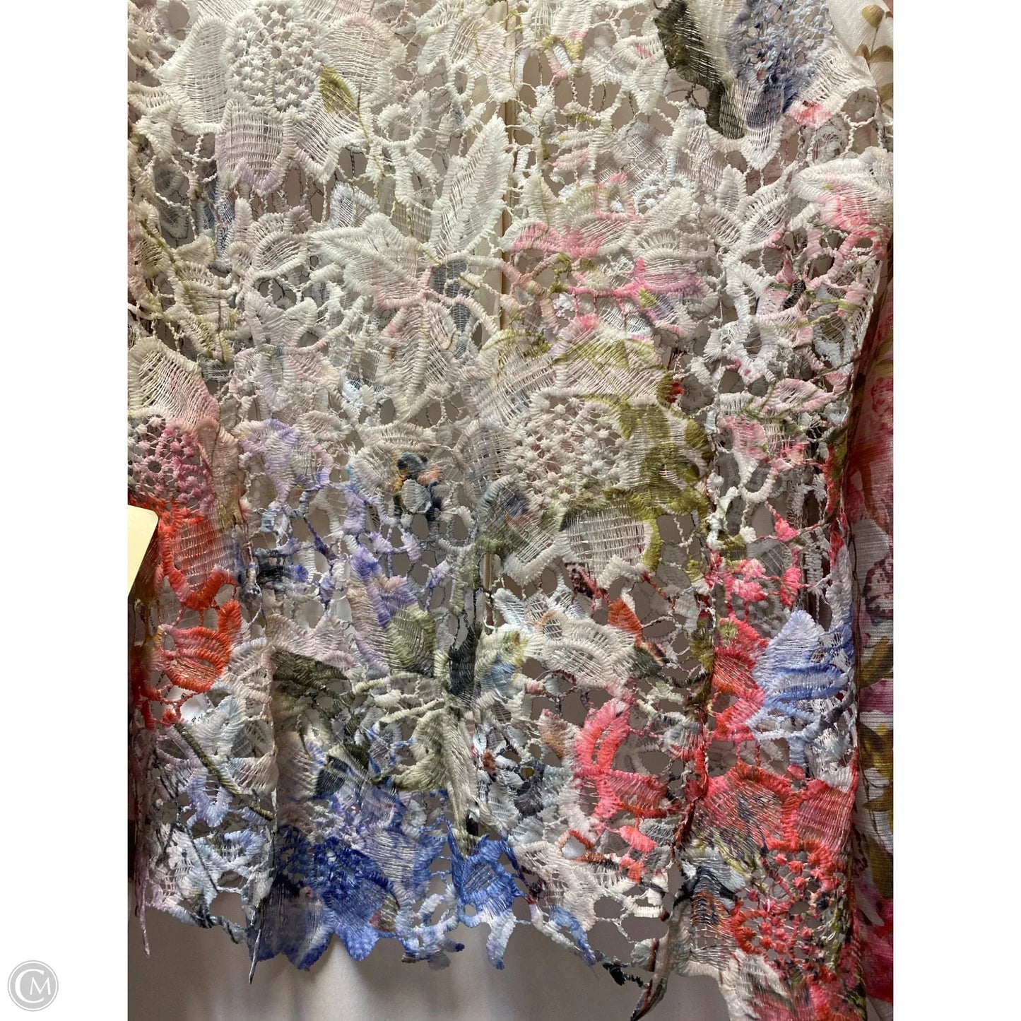 Top Long Sleeve By Peach In Multi-colored, Size: L