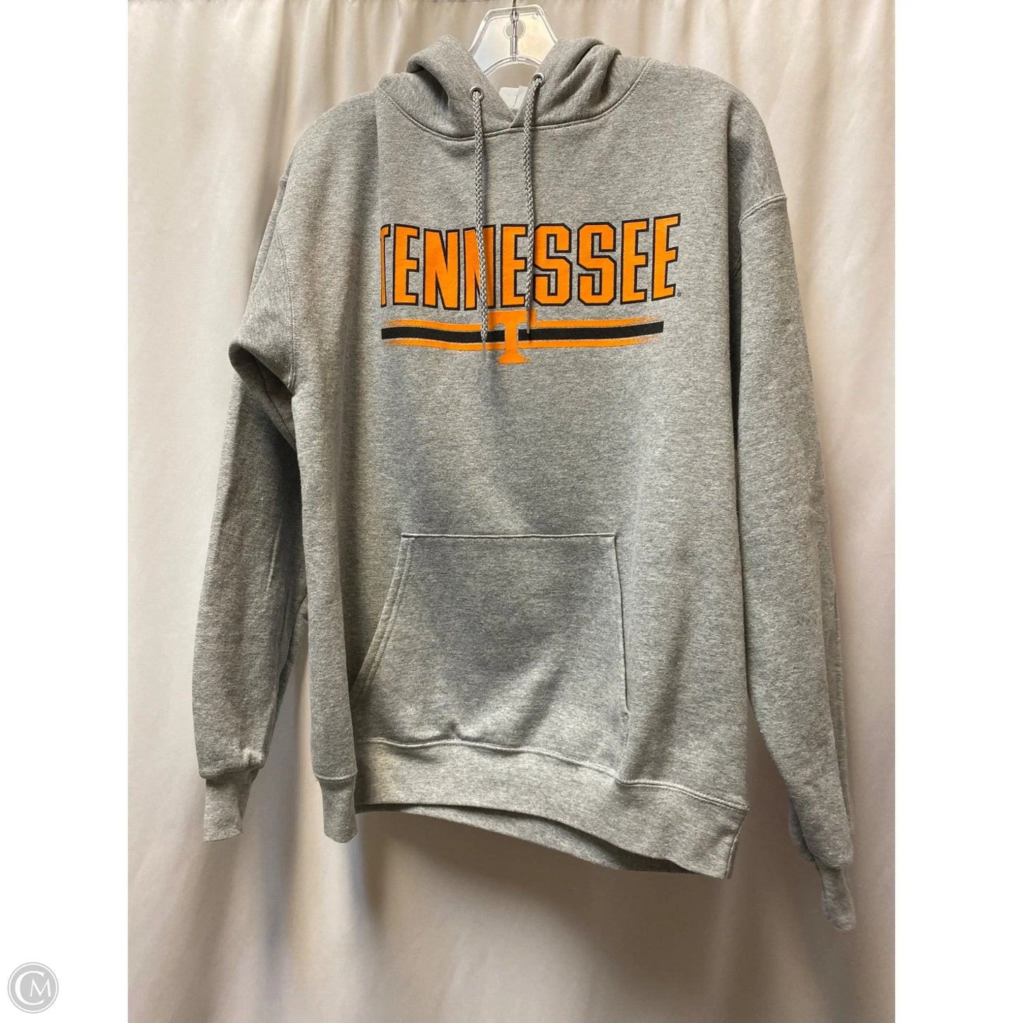Sweatshirt Hoodie By Hanes In Grey, Size: M