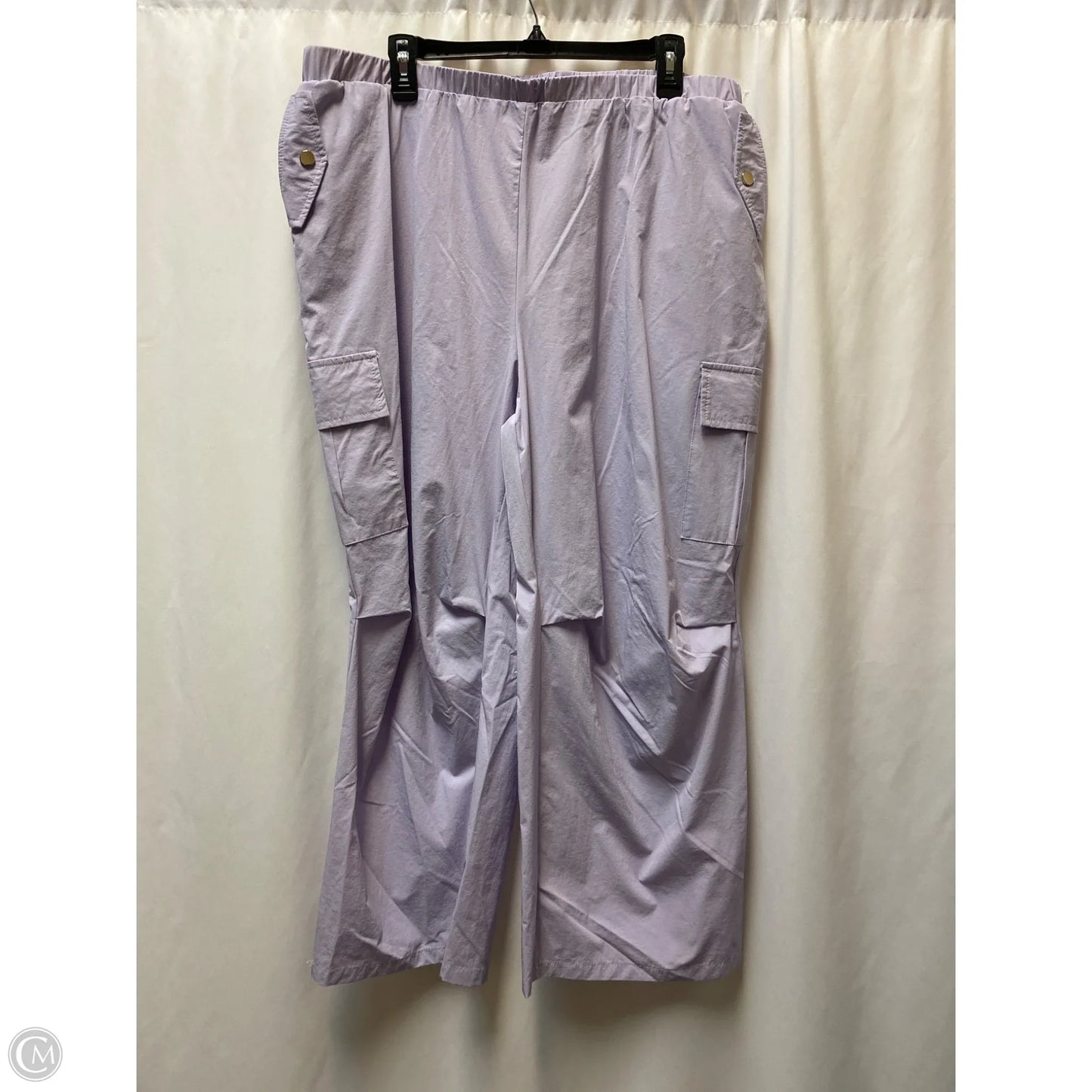 Pants Cargo & Utility By Clothes Mentor In Purple, Size: 4x