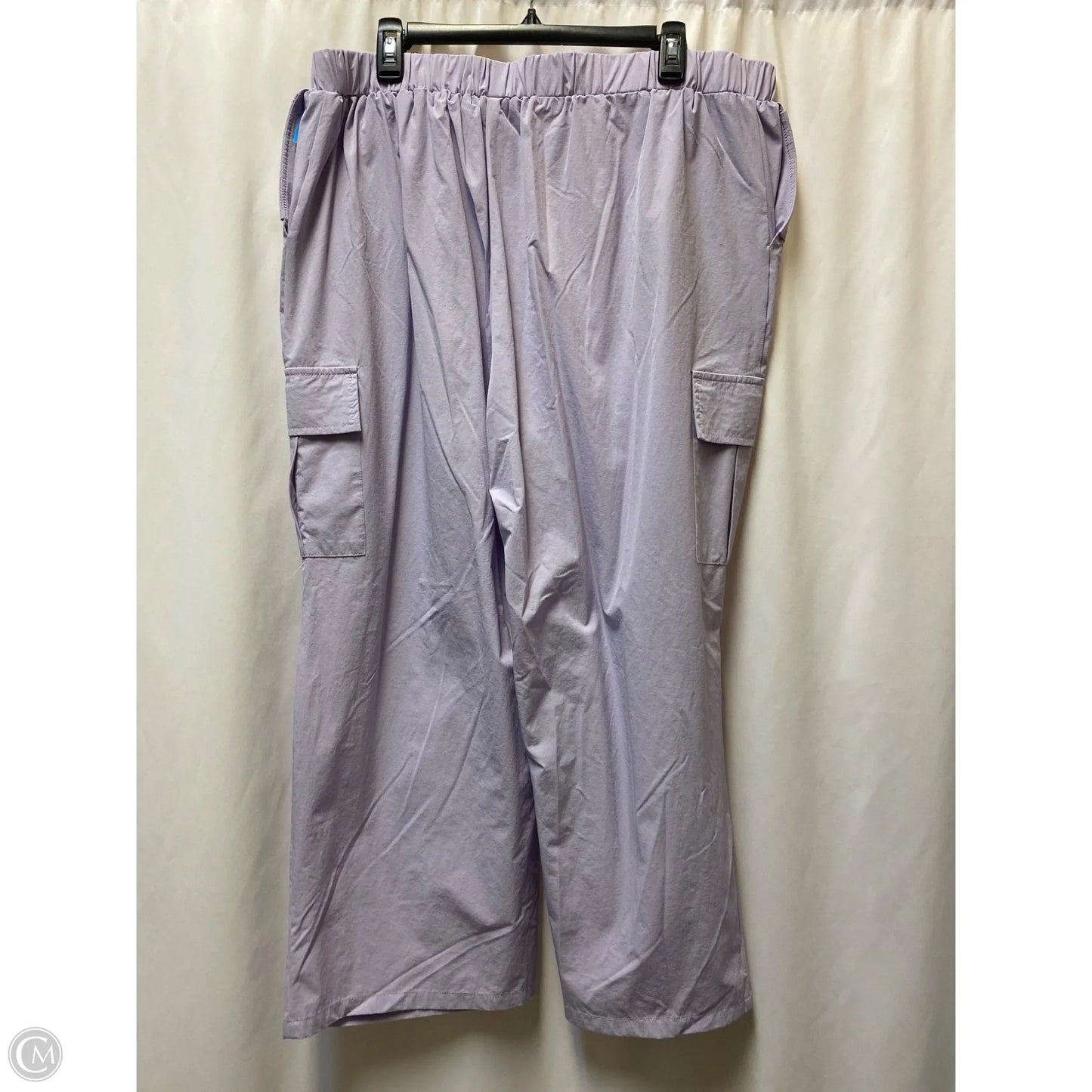 Pants Cargo & Utility By Clothes Mentor In Purple, Size: 4x
