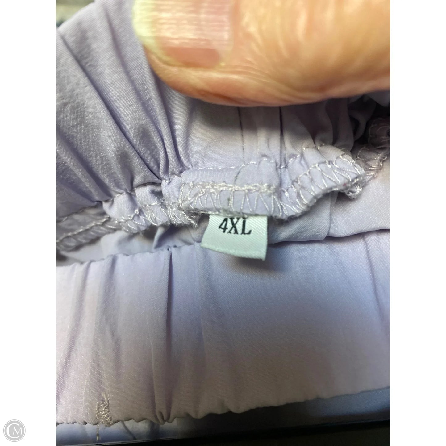 Pants Cargo & Utility By Clothes Mentor In Purple, Size: 4x