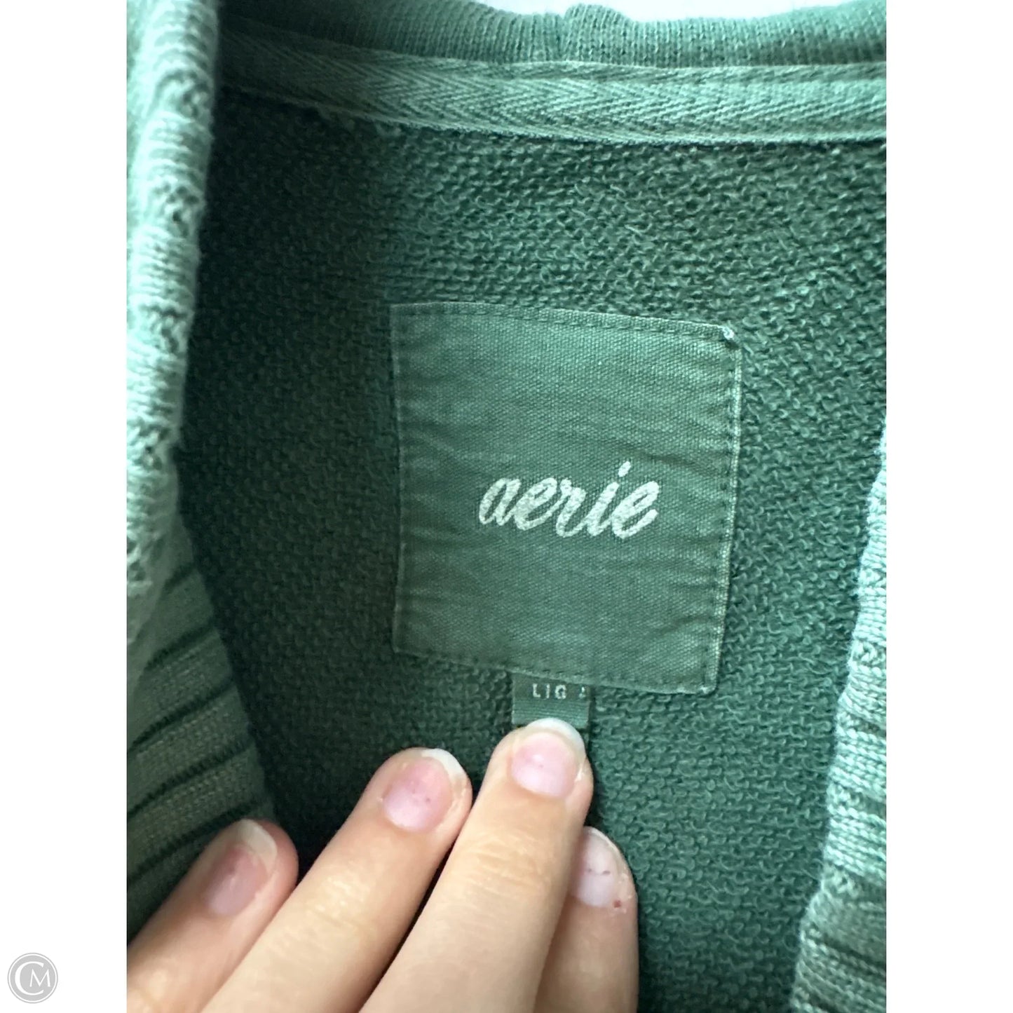 Sweatshirt Hoodie By Aerie In Green, Size: L