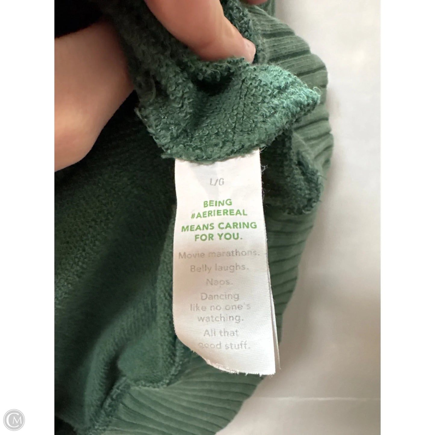 Sweatshirt Hoodie By Aerie In Green, Size: L