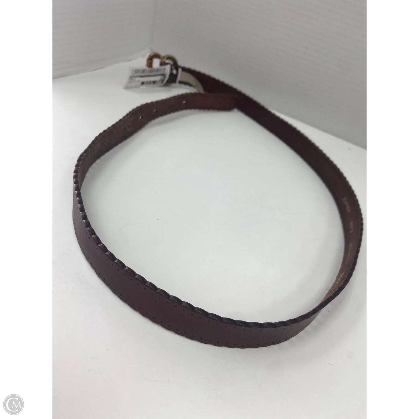 Belt By Fossil