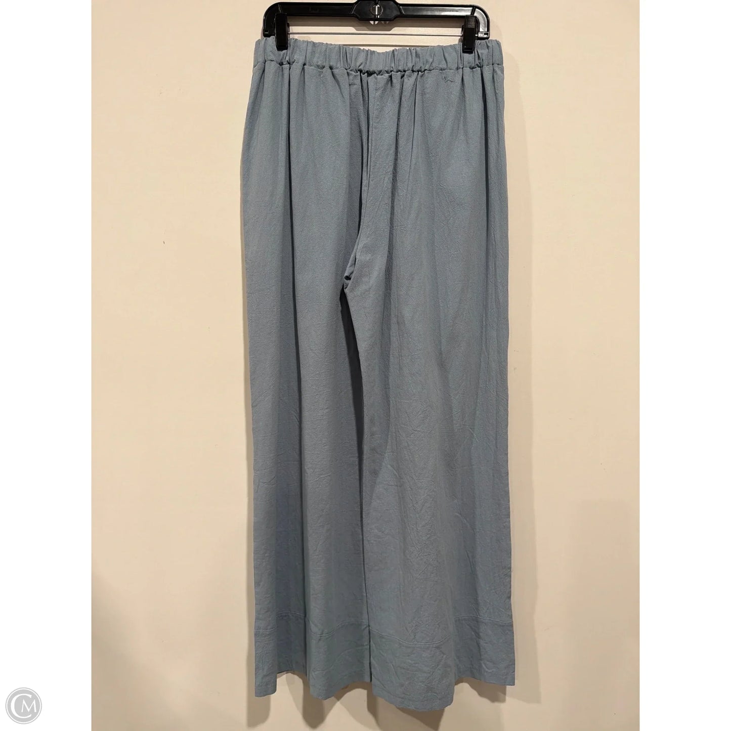 Pants Set 2pc By Clothes Mentor In Blue, Size: L