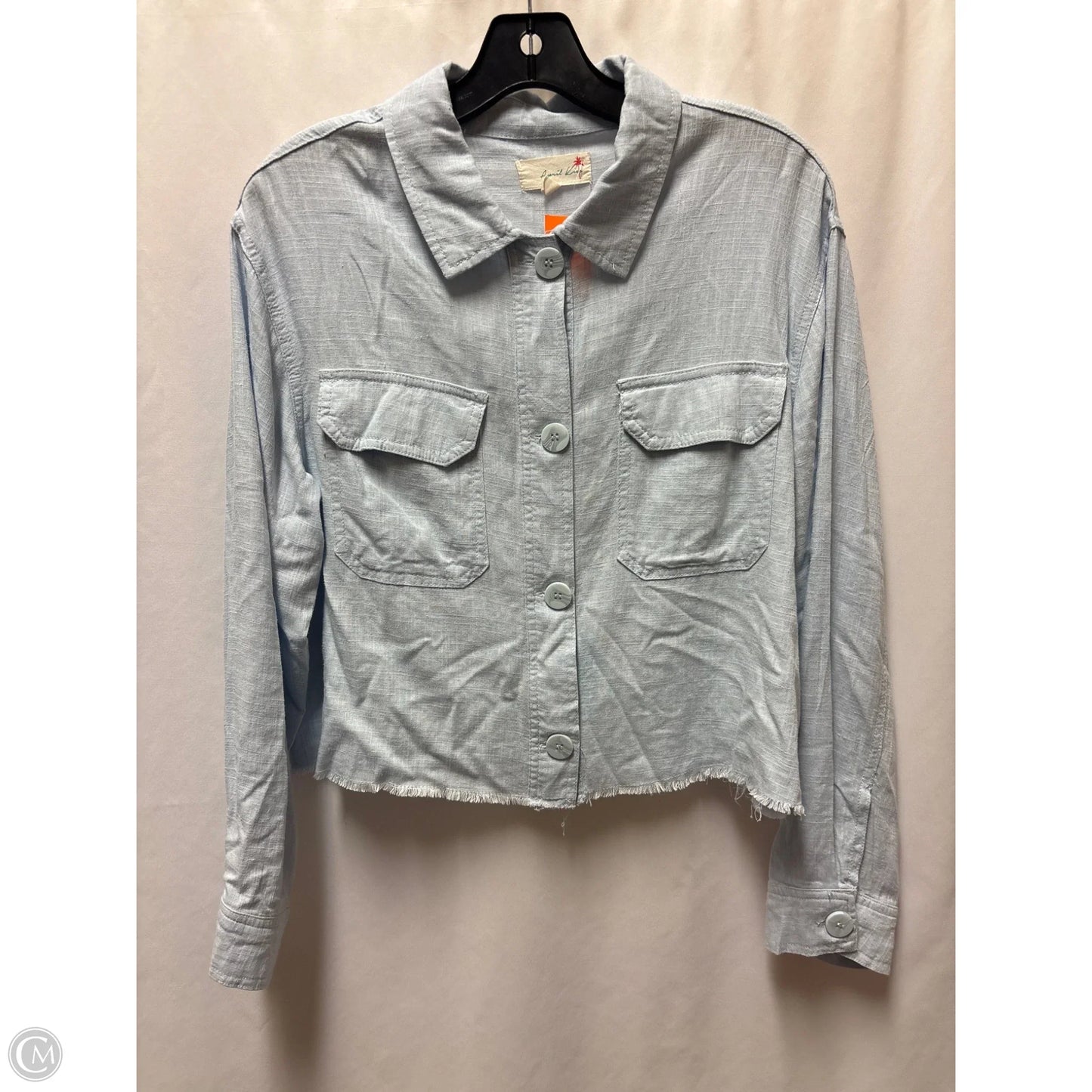Top Long Sleeve By Clothes Mentor In Blue, Size: S