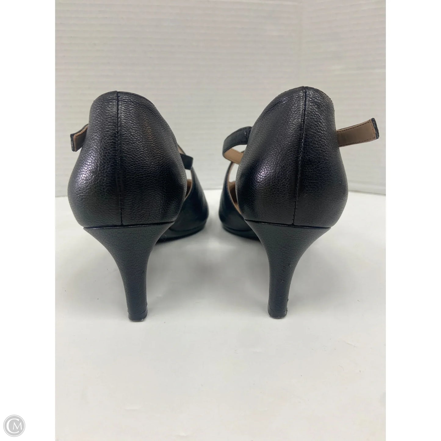 Shoes Heels Kitten By Naturalizer In Black, Size: 6